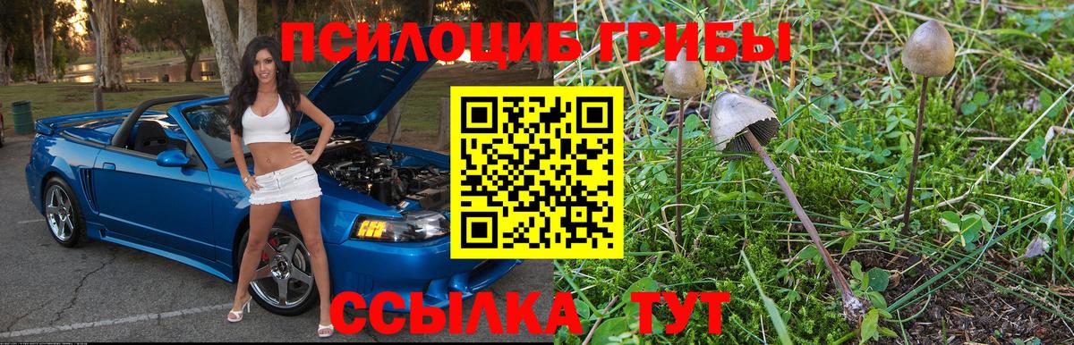 Псилоцибиновые грибы Psilocybine cubensis Приморско-Ахтарск