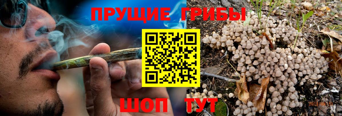 Галлюциногенные грибы ЛСД  Псилоцибиновые грибы MAGIC MUSHROOMS  Вход с VPN  Приморско-Ахтарск 